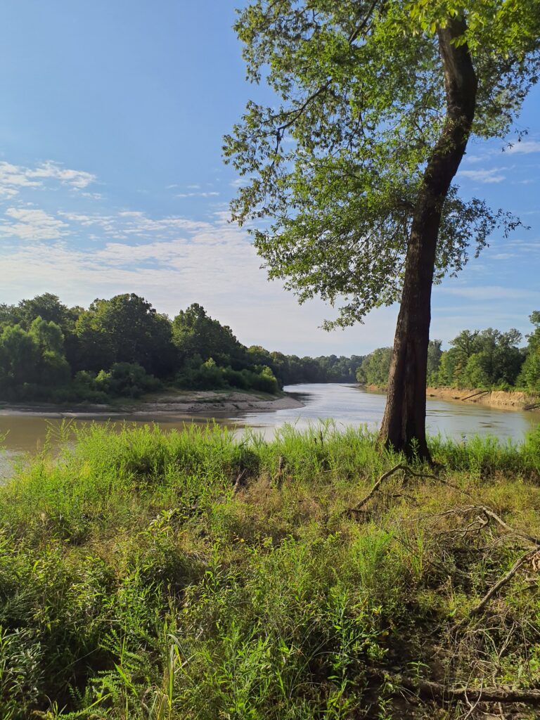 ACR 900 | Calion Ouachita River Wilderness blog