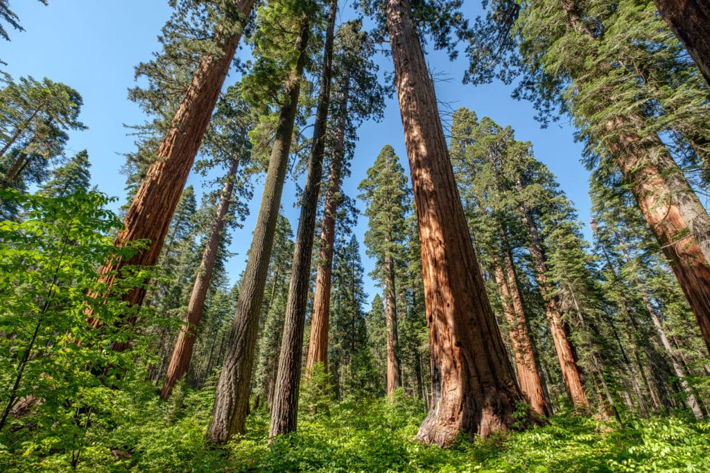 California Landowners blog