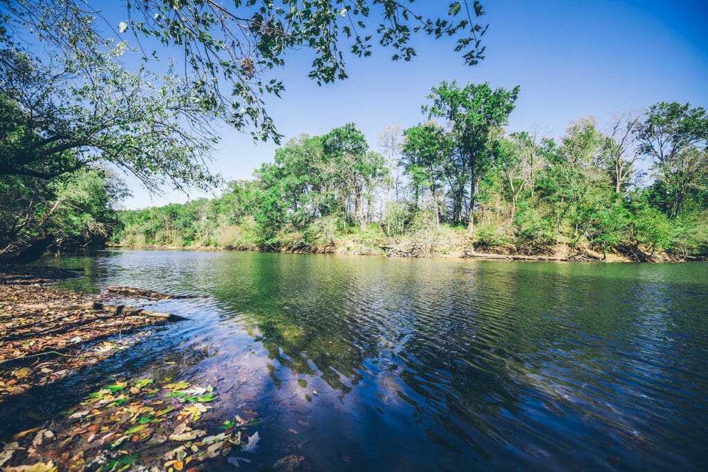 United States: TotalEnergies Expands Its Investments in Sustainable Forestry Operations to Preserve Carbon Sinks blog