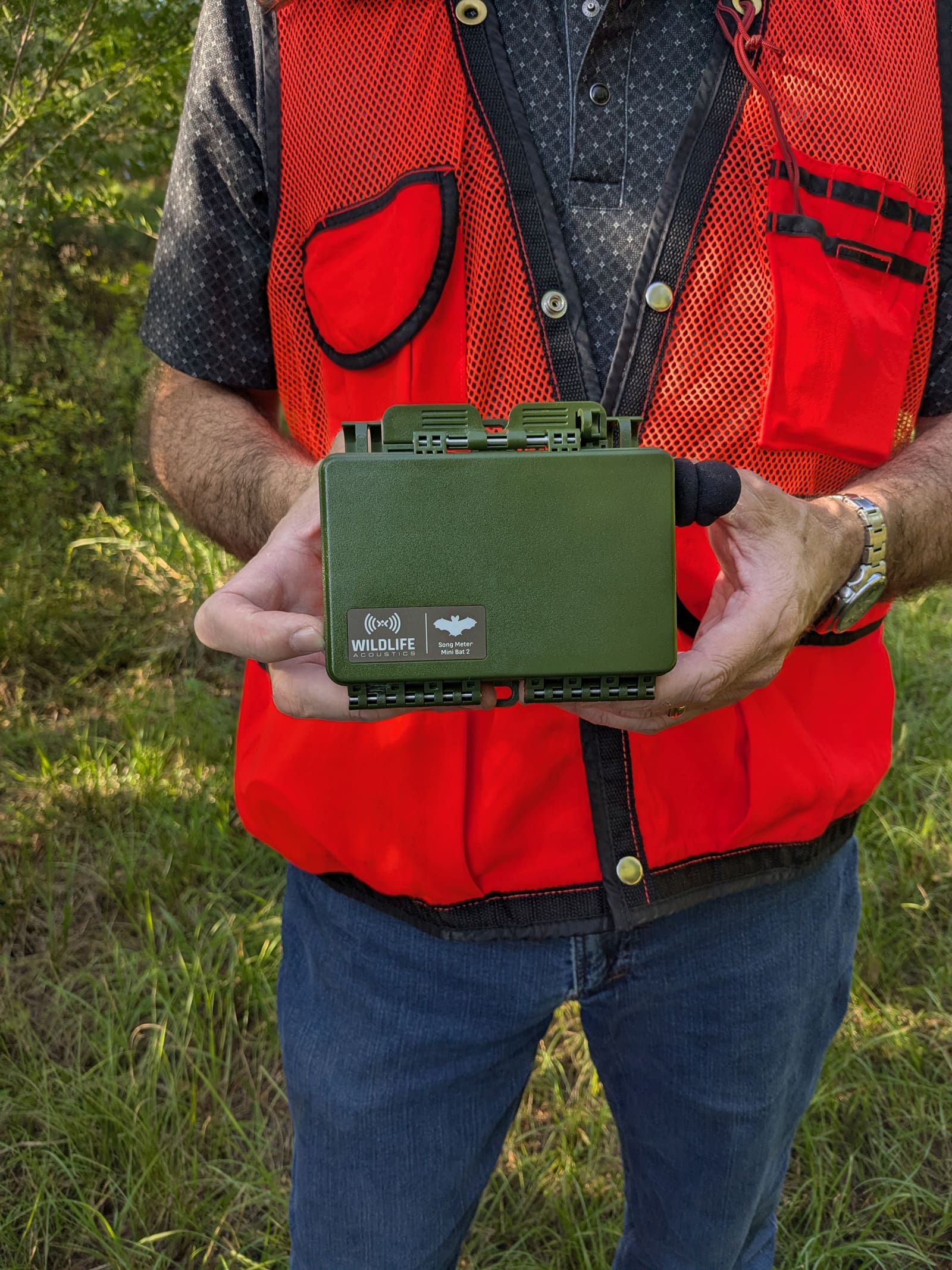 NativState | NativState and Landowners Partner on Bat Conservation