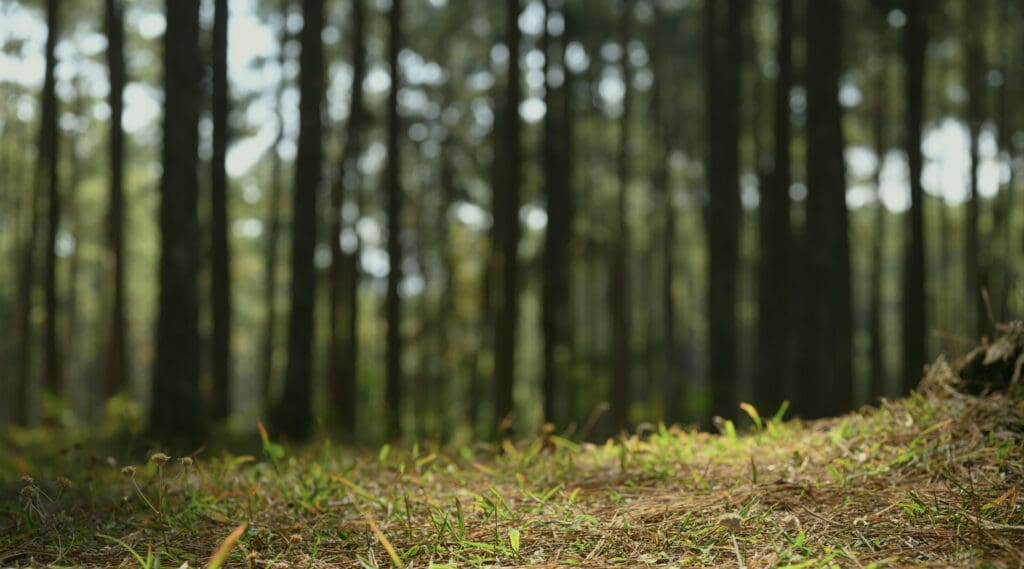 NativState is Launching a New Podcast! blog