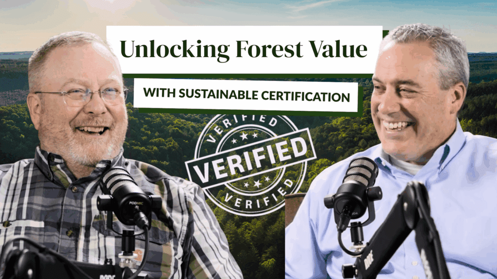 Unlocking Forest Value with Sustainable Certification blog