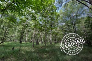 1015 Landscape with Verified Badge