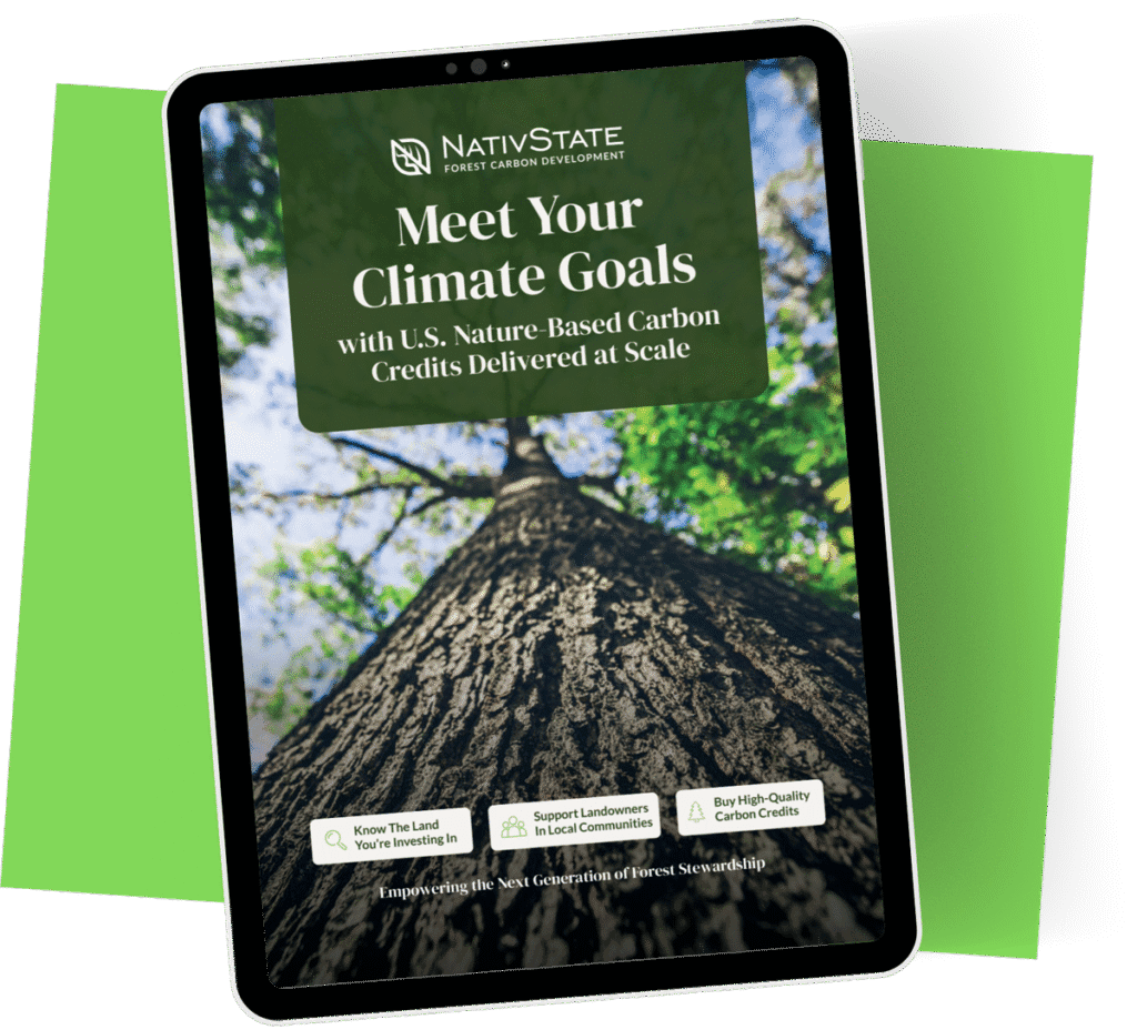 Buyers Guide Digital Mockup