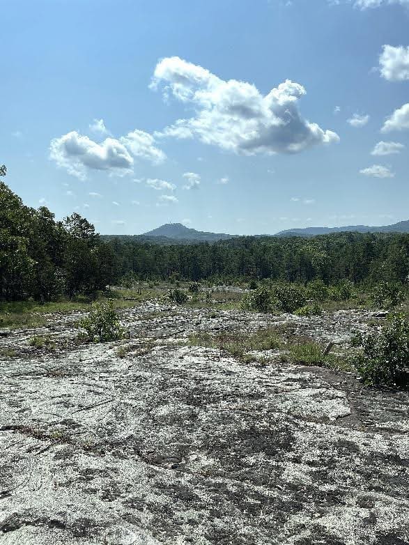 One of Arkansas’s glades, near Calico Rock