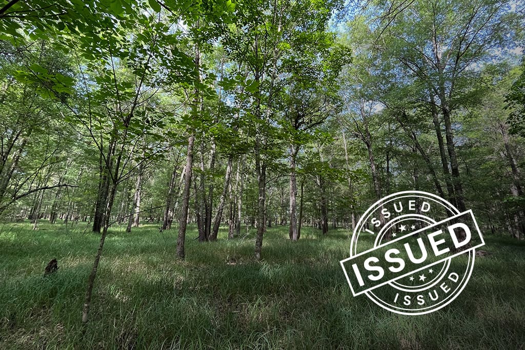 ACR 1015 | Bottomland Forests of the Mississippi Backswamps and Delta Mixed Forests blog