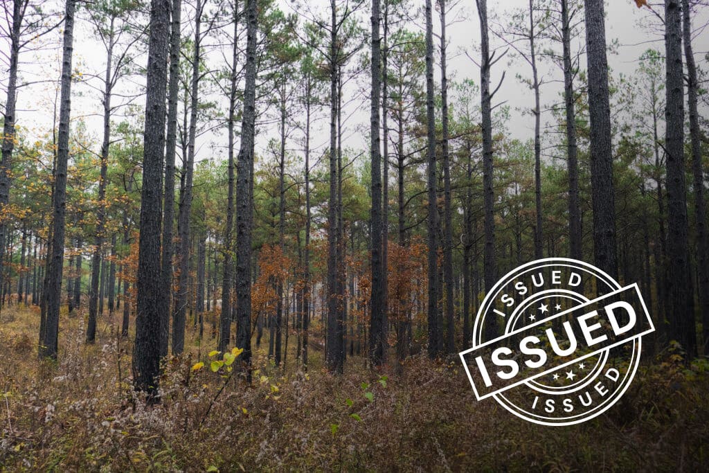 ACR 783 | S & J Taylor Forest Project blog