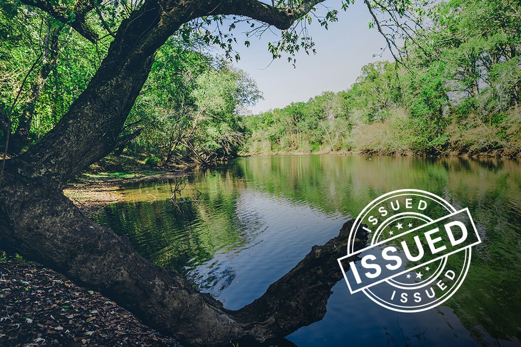 ACR 801 | Mixed Upland Forests of the Ozarks & Ouachita Mountains blog