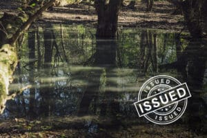 closeup of tree reflecting in forest water, issued badge overlayed