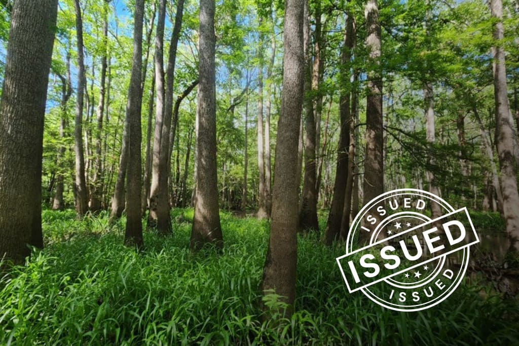 ACR 848 | Bottomland Forests of the Louisiana Plains blog