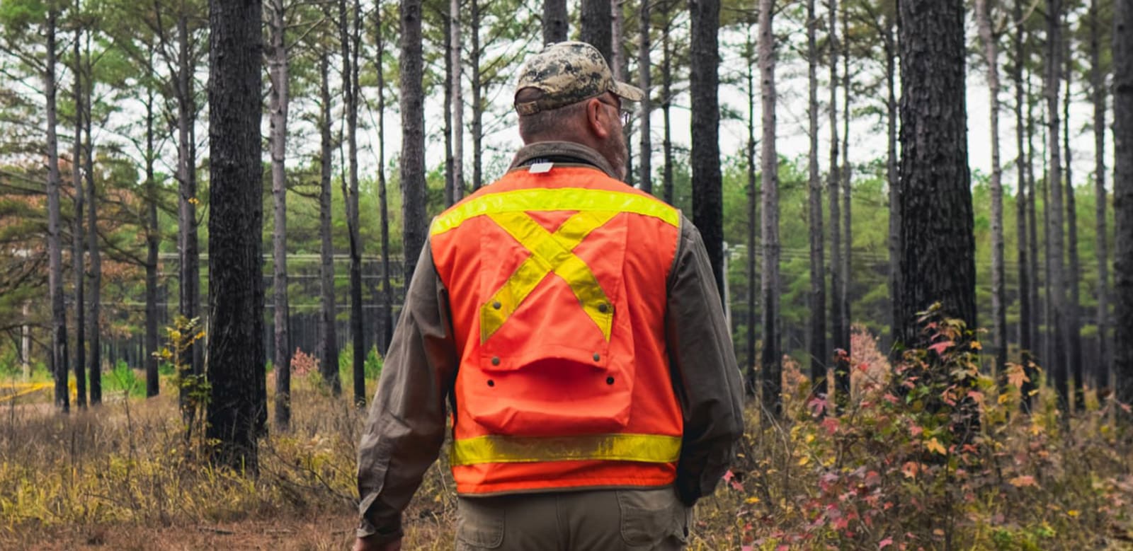 Forester on Landowner land