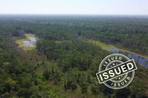 Aerial view of forest and bayou land from project 1063 with badge: Issued