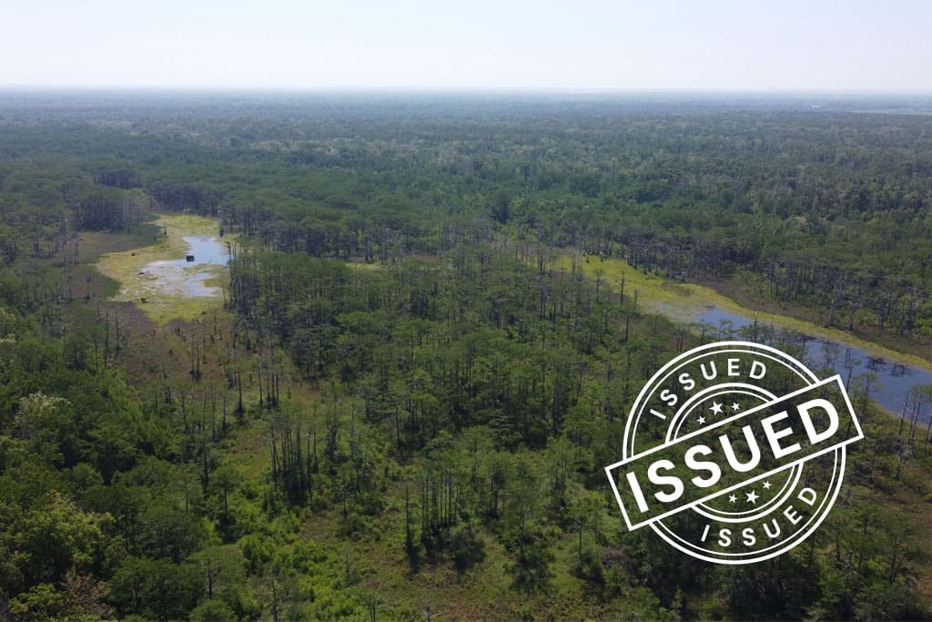 ACR 1063 | Bottomland Forests of the Louisiana Mississippi River Delta blog