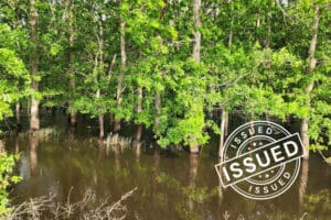 Trees and bayou from project 1074 with badge: Issued