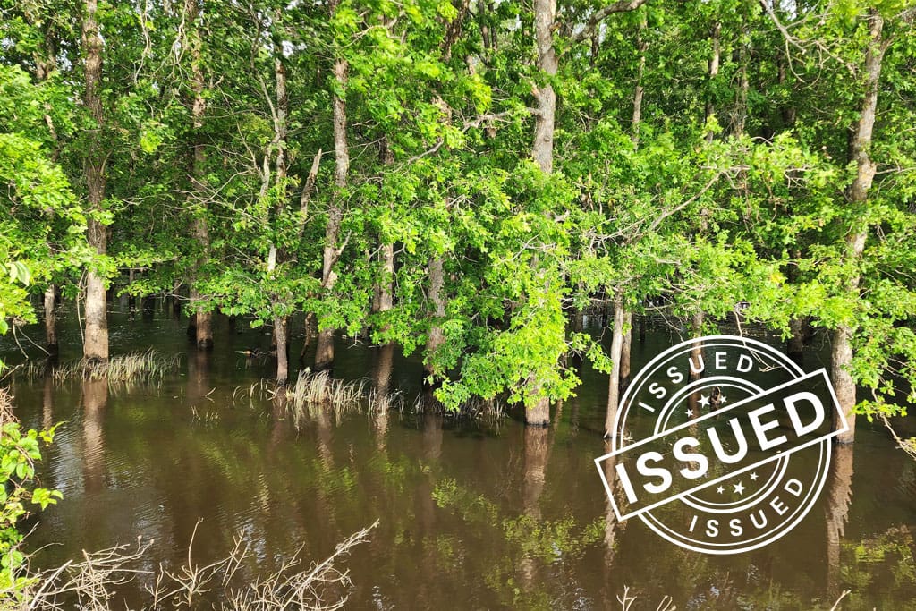 ACR 1074 | Bottomland Forests of the Lower Mississippi Valley blog