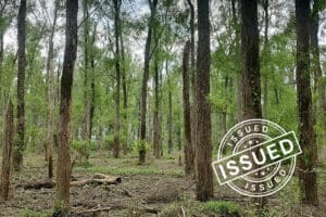 Forest from project 956 with badge: Issued