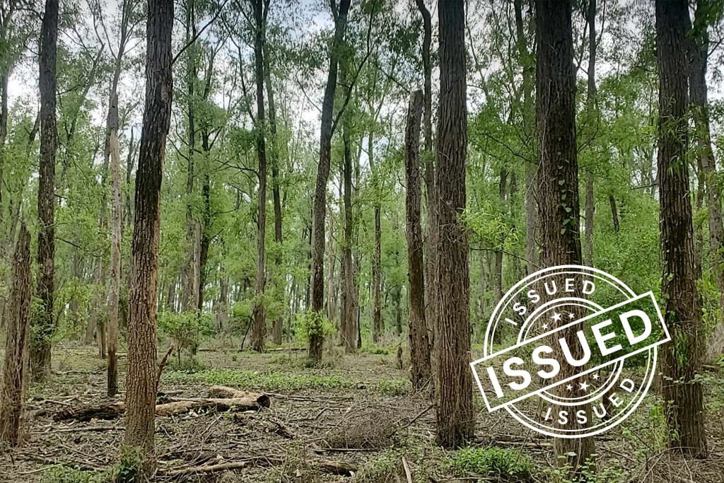 ACR 956 | The Mixed Broadleaf Forests of the Western Tennessee Plains to the Highland Rim blog
