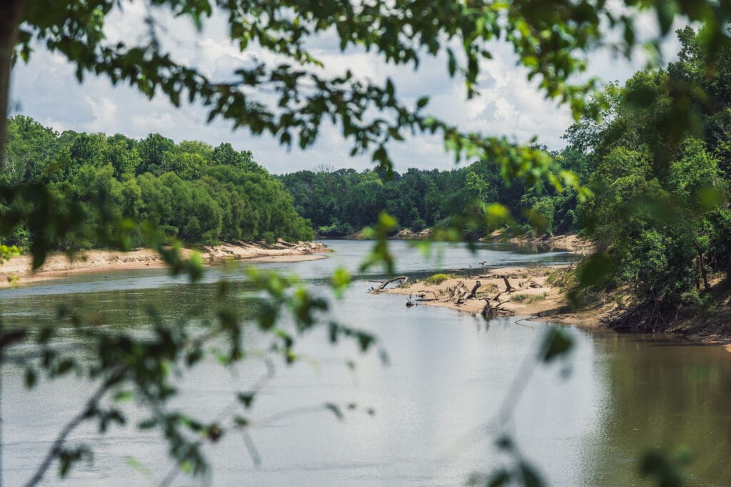 Unseen Engines of the Forest: How Even the Smallest Water Sources are Critical for People, Nature, and Business blog
