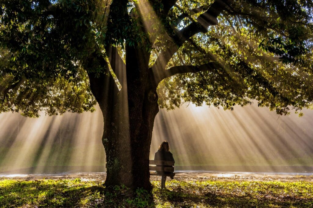 Sustainable Forestry and the Case for Forest Carbon blog
