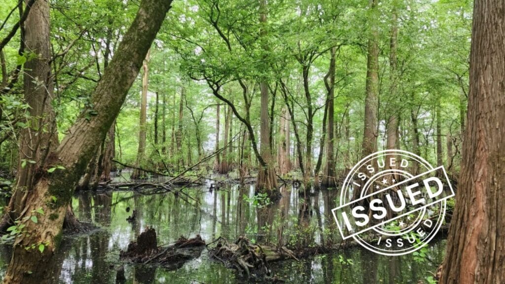 ACR 954 | Bottomland Forests of the Mississippi Alluvial Plain blog